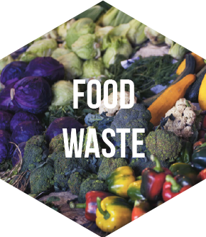 FoodWaste