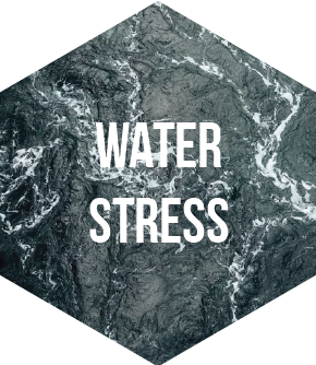 WaterStress